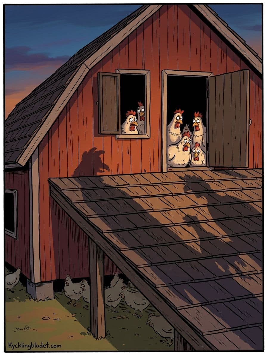 Vid Höga Bursidan på Gården har flera höns och tuppar rapporterat om märkliga ljud och skuggrörelser som ingen kan förklara.
